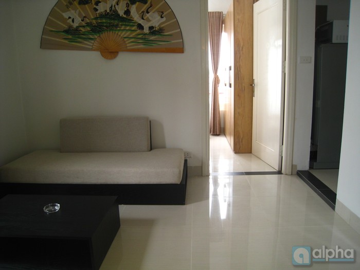 Quality one bedroom apartment for rent in Kim Ma, Ba Dinh