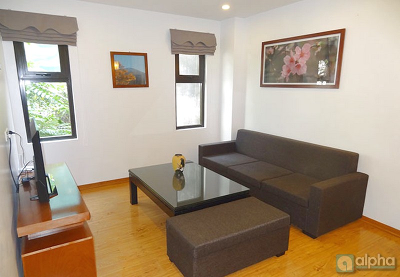 Apartment for rent in Ba Dinh, Ha Noi. Nice one bedroom