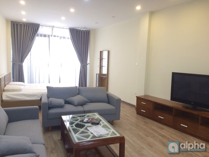 Brand new, modern apartment in Hai Ba Trung for lease