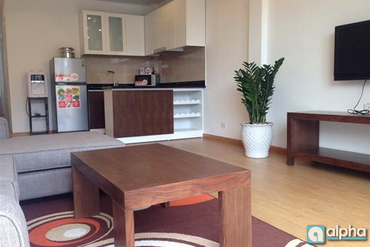 Brand new apartment for rent in Ba Dinh, 800 USD