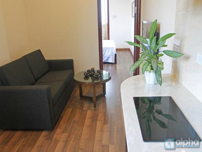 Brand new apartment in Hai Ba Trung, Ha Noi, modern one bedroom