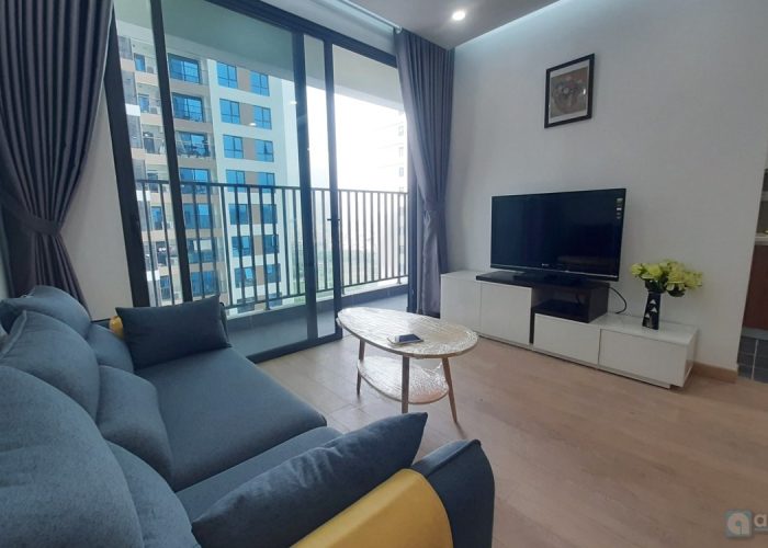New furnished apartment for rent in 6th Element, west lake view