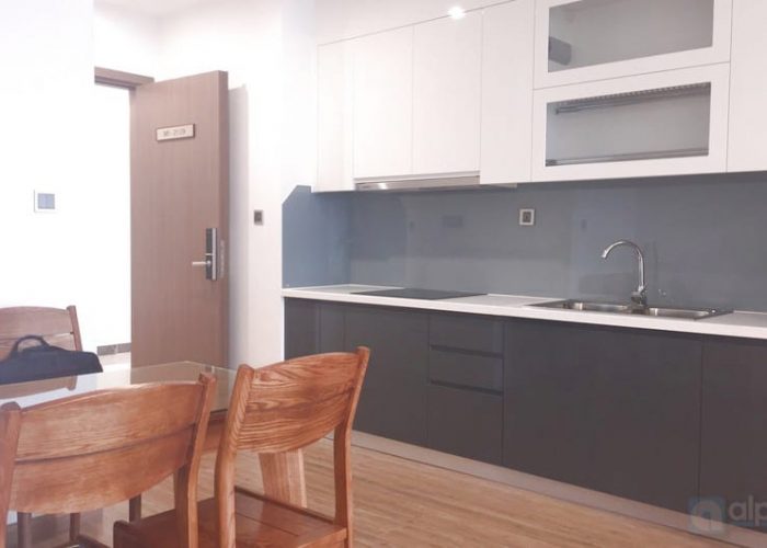 Fabulous one bedroom apartment for rent in Metropolis Lieu Giai