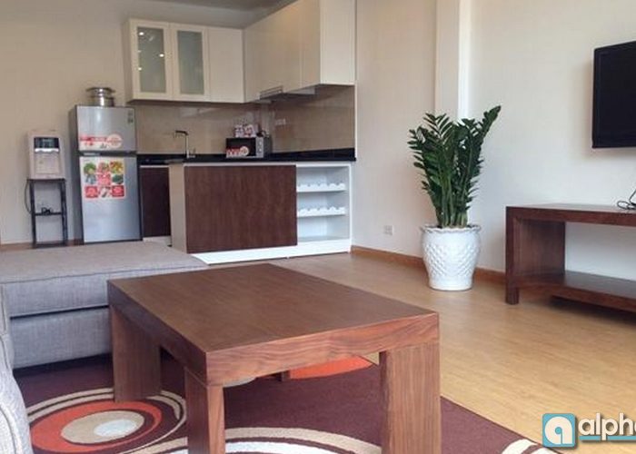 Brand new apartment for rent in Ba Dinh, 800 USD