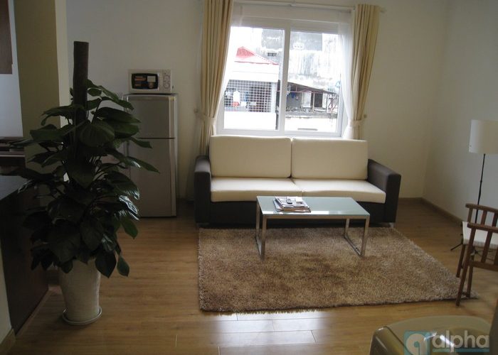 Modern one bedroom apartment for rent in Ba Dinh, Ha Noi