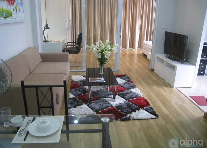 Modern apartment in Ba Dinh, nicely furnished