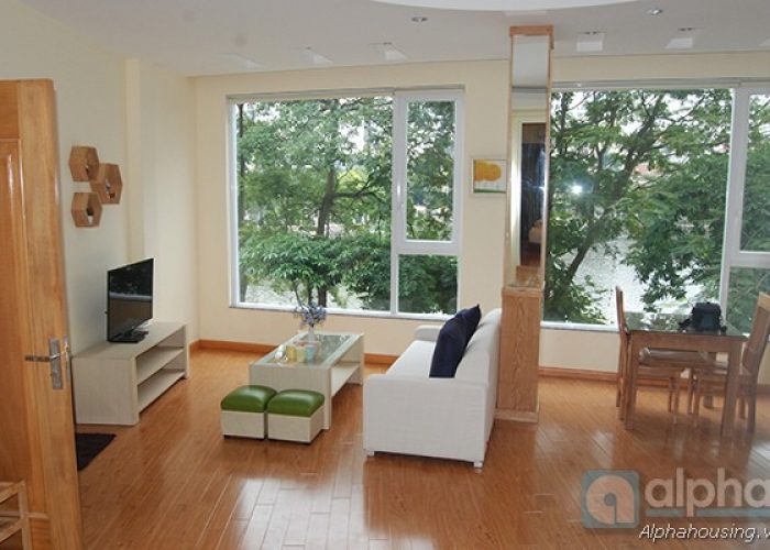 Brand-new apartment for rent in Truc Bach area, Hanoi, Front Lake
