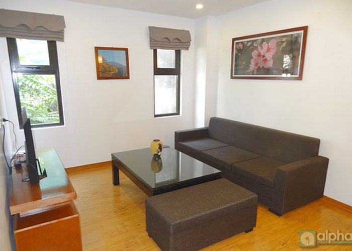 Apartment for rent in Ba Dinh, Ha Noi. Nice one bedroom