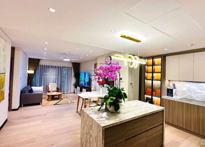 Cho thuê căn hộ mới đẹp tại The Nelson Lang Ha