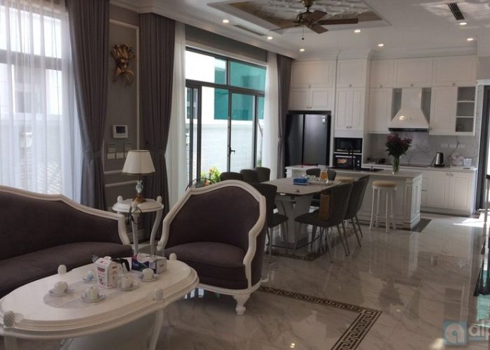 Brand-new rental villa in Vinhomes Harmony