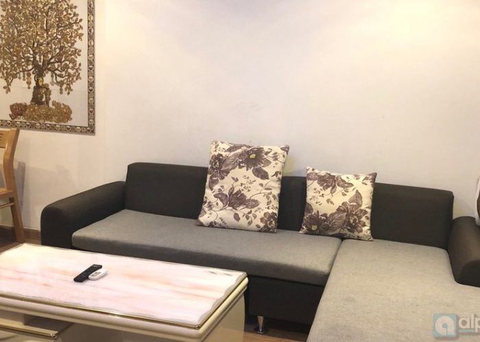 D’Capital Trần Duy Hung- Cho thuê căn hộ một phòng ngủ hoàn toàn mới